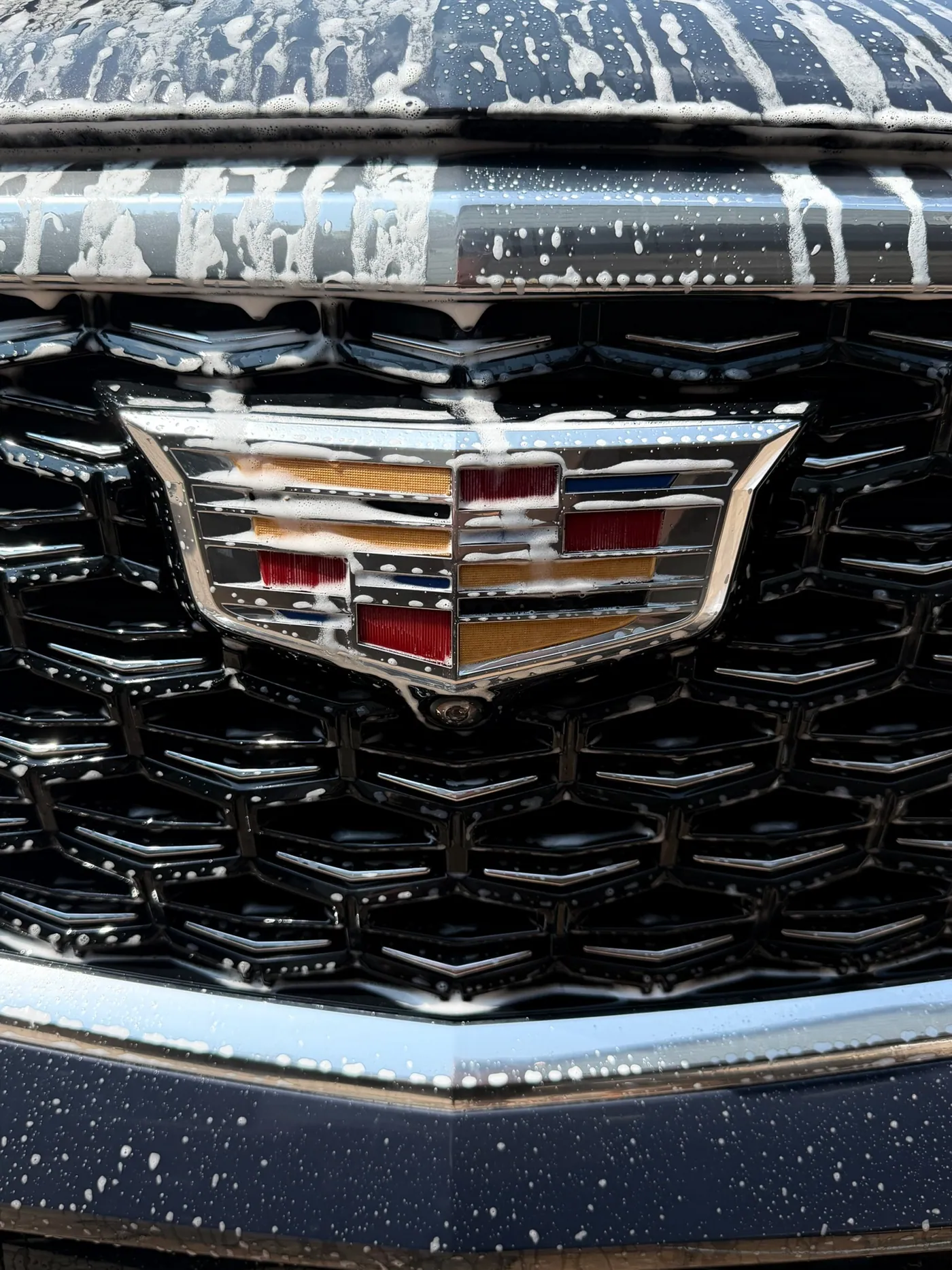 Close-up of a Cadillac emblem with suds
