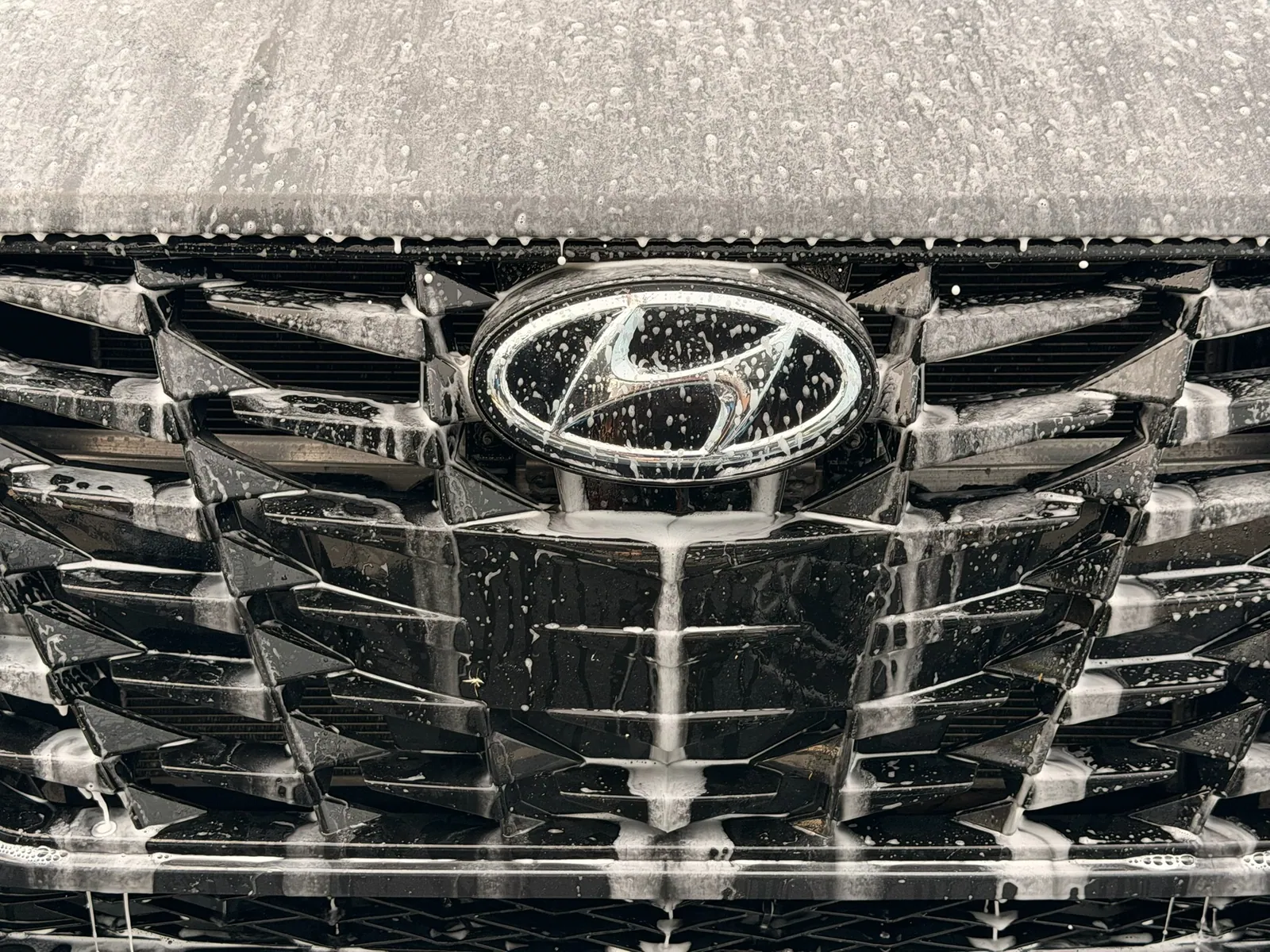 Hyundai grille close-up during decontamination